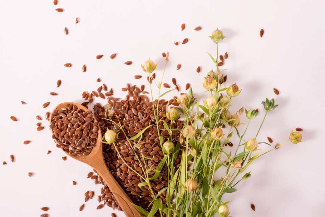 Composition with Flax Seeds and Plants on White Background